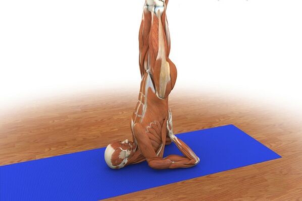 Cvičení pro potenci Birch